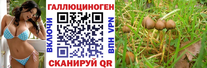 Псилоцибиновые грибы прущие грибы  даркнет сайт  Электрогорск 